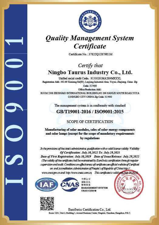 ISO 9001